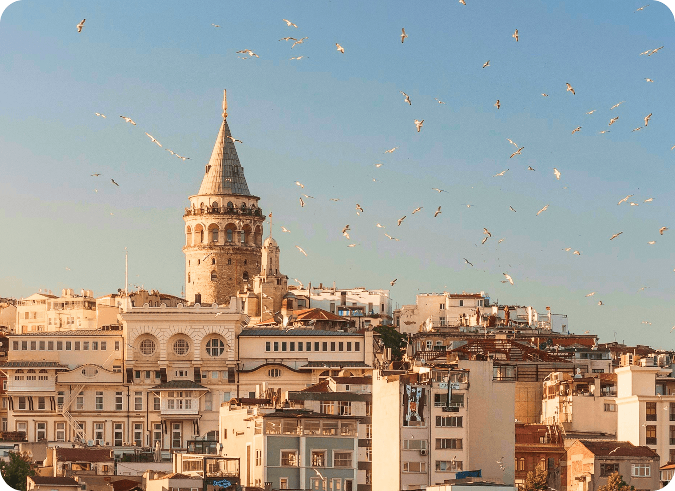 Built with Flexibility at The Core